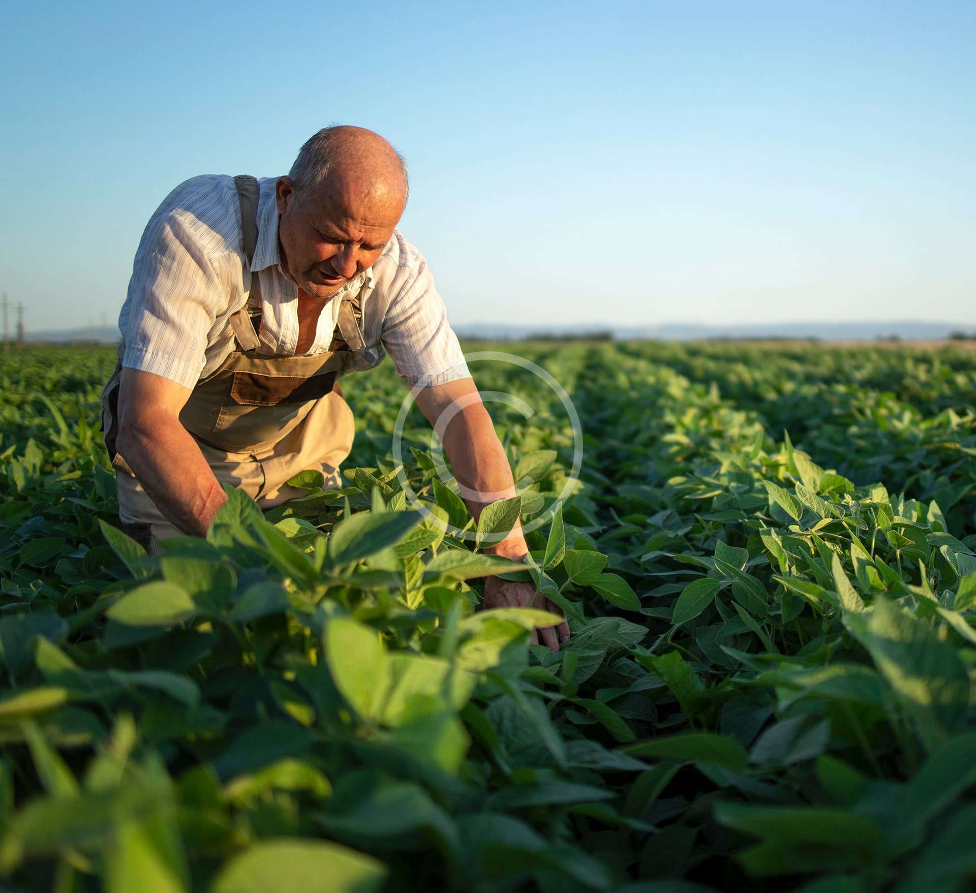 Farming & agriculture